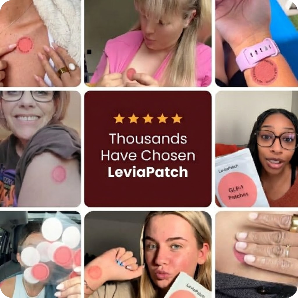 LeviaPatch — view 5